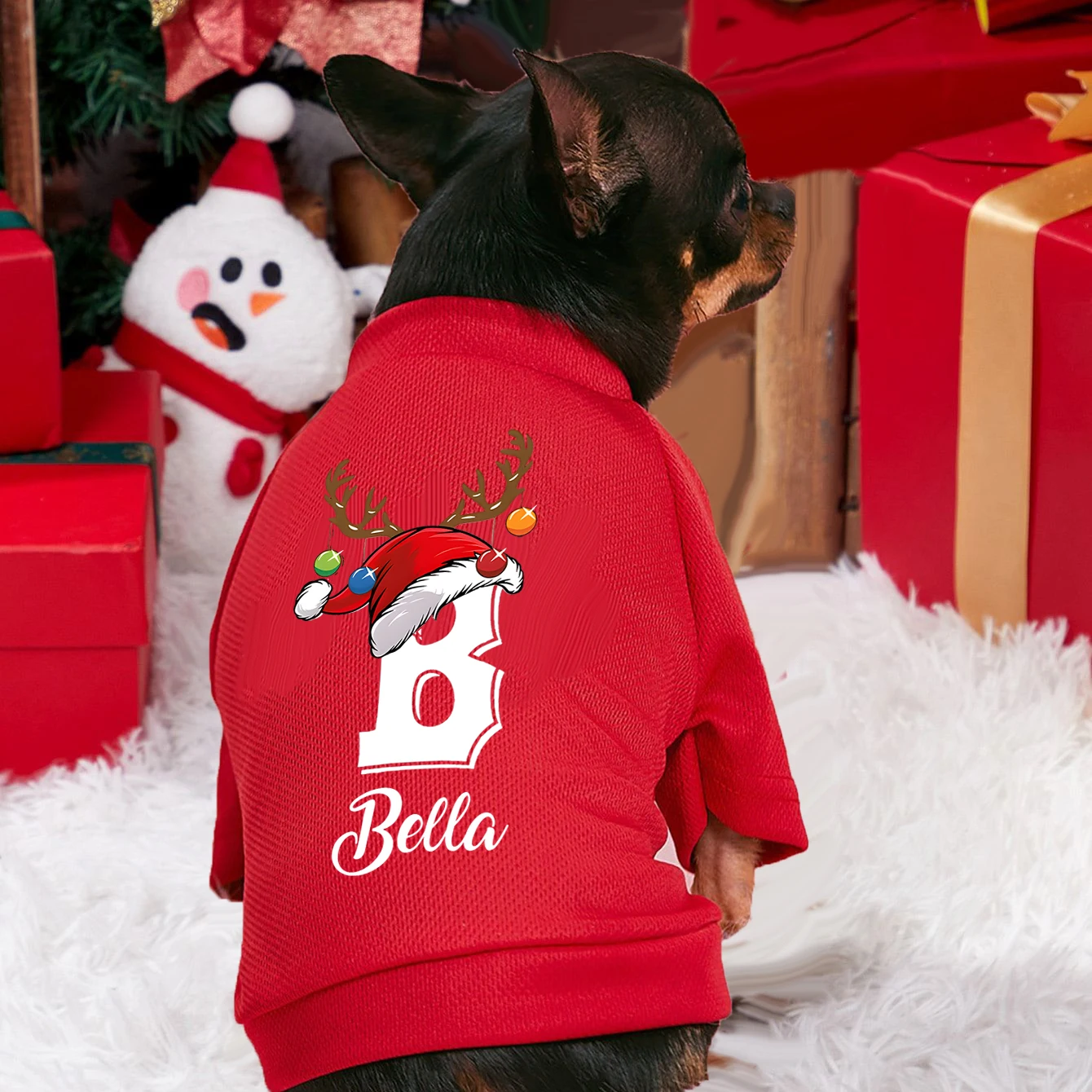 Winter Clothing Name - Ropa navideña personalizada para perros, sudaderas