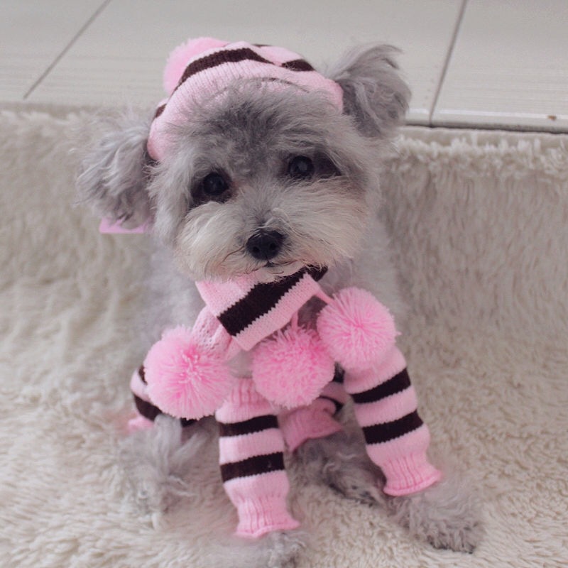 Conjunto de invierno de punto  - Winter Clothing Leg Warmers reseña y precio