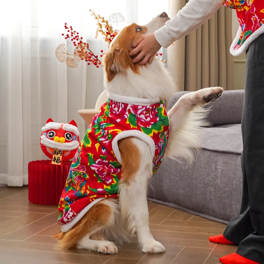 2025 ropa de invierno para per - Winter Clothing Name reseña y precio