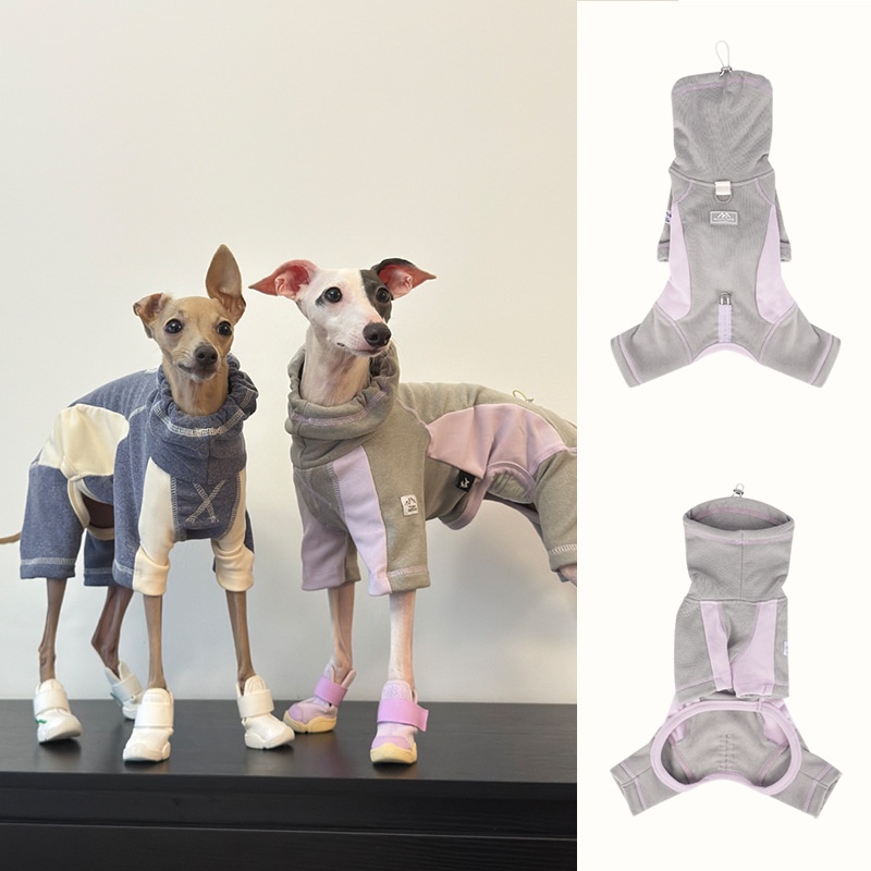 Ropa para perros de otoño e in - Winter Clothing Leg Warmers reseña y precio